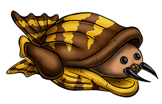 This is a very old concept that I never even used in any comics. Its design is a combination of a scallop and a coneshell, with the siphons from a cephalopod. Oareedar01