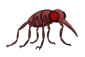 There's not much of a story behind Sprineed's creation. Its design combines attributes of mosquitoes, spiders and bombardier beetles. Sprineed01